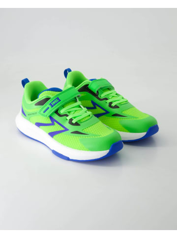 Primigi Sneaker in Grün