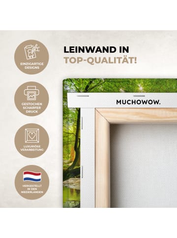 MuchoWow Leinwand bilder Waldlicht (BxH)