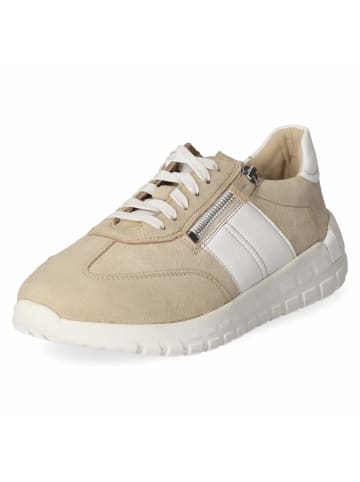 Josef Seibel Halbschuhe GABBY 01 in beige