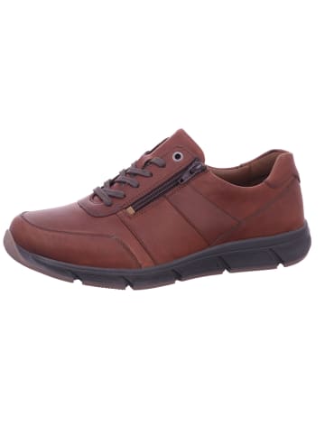 Solidus Sneaker in braun