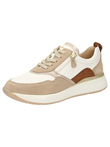 Sioux Sneaker Segolia-705-J in beige