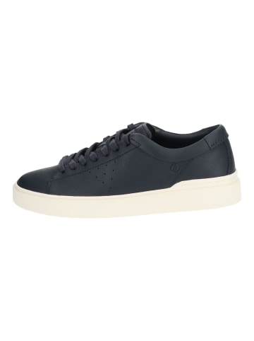 Clarks Sneaker in Navy