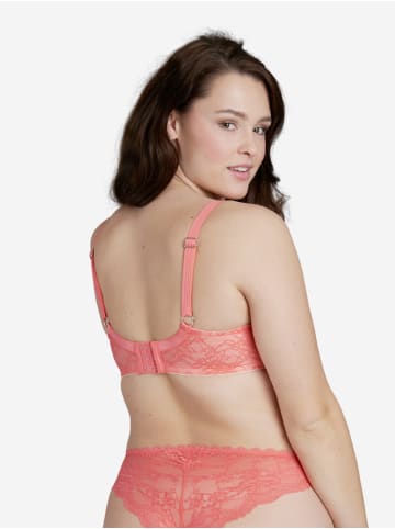 SugarShape BH Sienna in coral