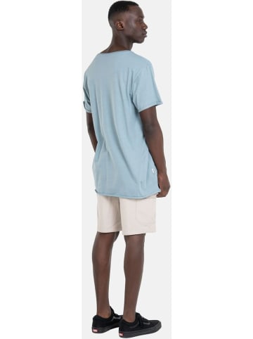 Reell T-Shirt "Vulcan T-Shirt" in Blau