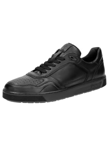 Sioux Sneaker Tedroso-704 in schwarz