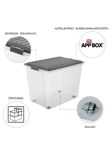 Rotho COMPACT 3er Set 70l Stapelkiste mit Deckel in Anthrazit
