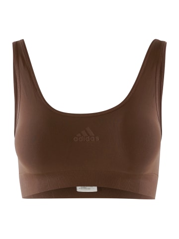 adidas Bustier SCOOP LOUNGE BRA in braun-mel.