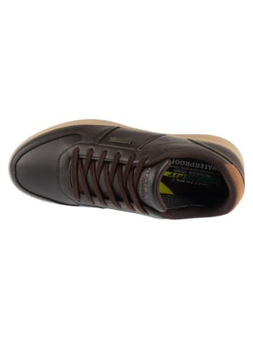 Skechers Skechers Palmiro - Monty in Braun