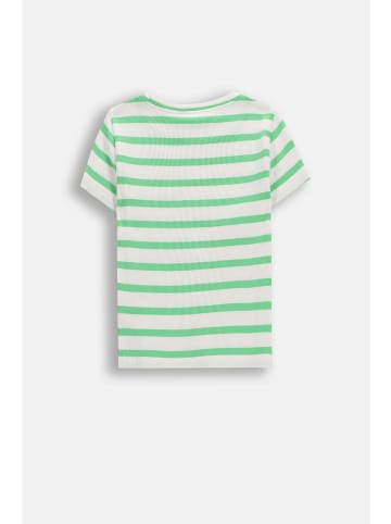 Coccodrillo Geripptes T-Shirt mit kurzen Ärmeln in grün