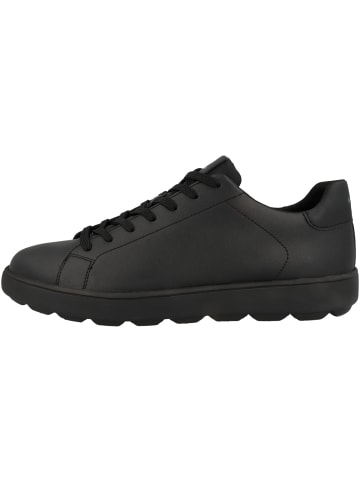Geox Sneaker low U Spherica Ecub-1 A in schwarz