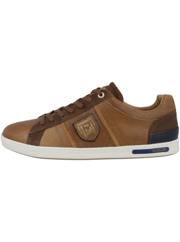 Pantofola D'Oro Sneaker low Torretta Uomo Low in braun