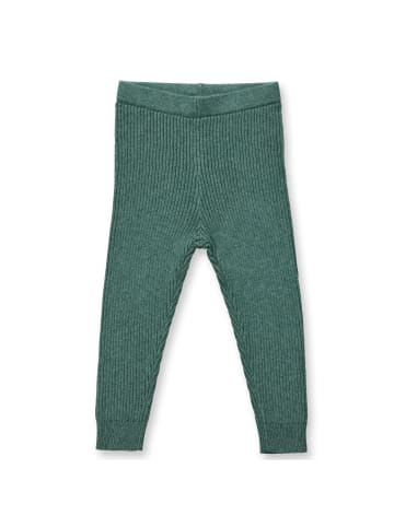 Sense Organics Strickleggings Yuma in Grün