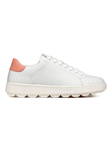 Geox VI.RI+SI Geox in C1Z5Q-Blanco/Piel