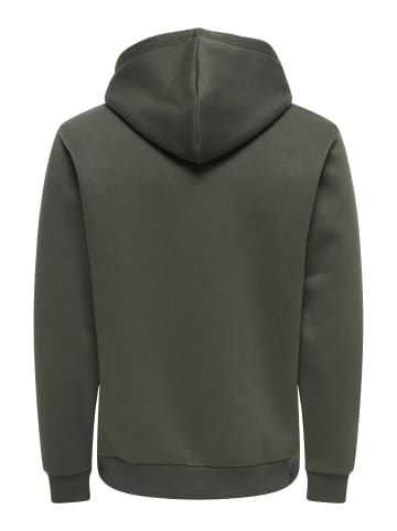 ONLY & SONS Kapuzenpullover in Beluga