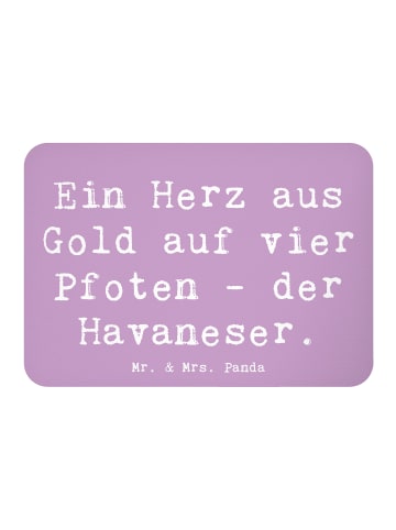 Mr. & Mrs. Panda Magnet für Pinnwand Spruch Goldherz Havaneser m... in Lavendeltraum
