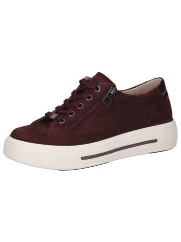 Caprice Sneaker in BORDEAUX SUEDE