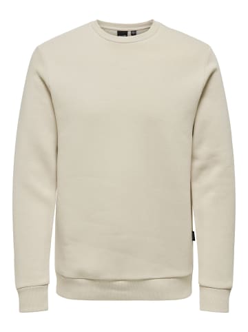 ONLY & SONS Sweatshirt in Silver Lining