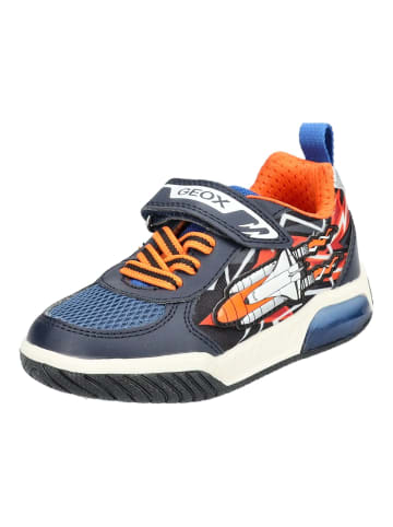 Geox Sneaker in Navy/Orange