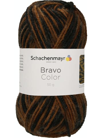 Schachenmayr since 1822 Handstrickgarne Bravo Color, 50g in Tiger color