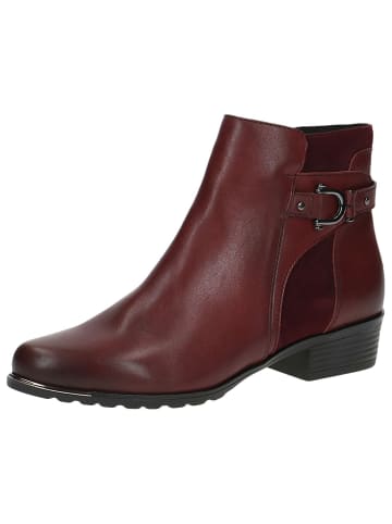 Caprice Stiefelette in BORDEAUX COMB