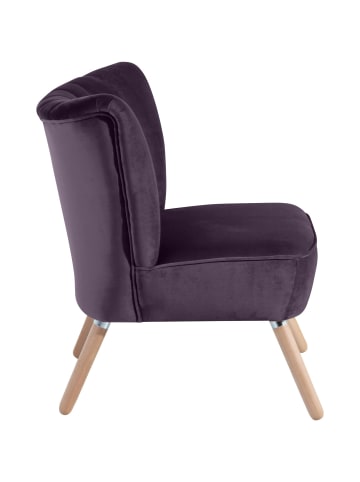 58 aufm Kessel SESSEL Kadisha Bezug Samtvelours Buche natur / purple