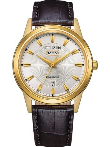 Citizen Uhr in Silber