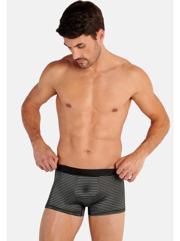 HOM Retro Short / Pant Monsieur in Dunkelgrau