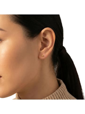Amor Ohrstecker Edelstahl, IP gold in gold