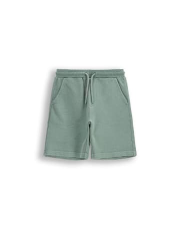 Coccodrillo Kurze Baumwollshorts in grün