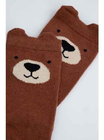 Coccodrillo Socken in braun