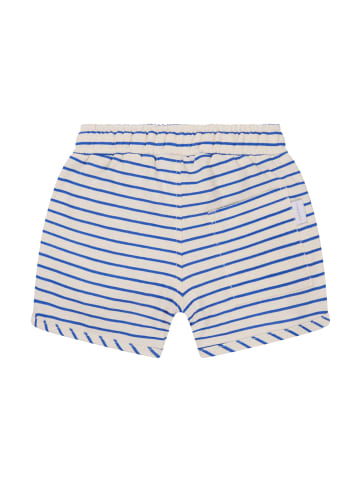 Noppies Shorts Oradour in Stripe pattern Medium Grey