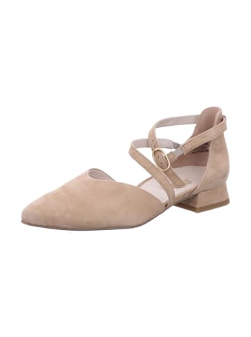 Paul Green Pumps in beige
