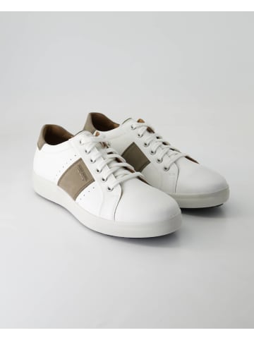 Josef Seibel Sportliche Schnürschuhe in Weiß