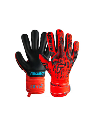 Reusch Torwarthandschuhe Attrakt Freegel Silver in 3333  brig red/futr blu/blck