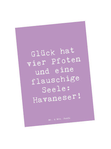 Mr. & Mrs. Panda Postkarte Spruch Havaneser Glück mit Spruch in Lavendeltraum