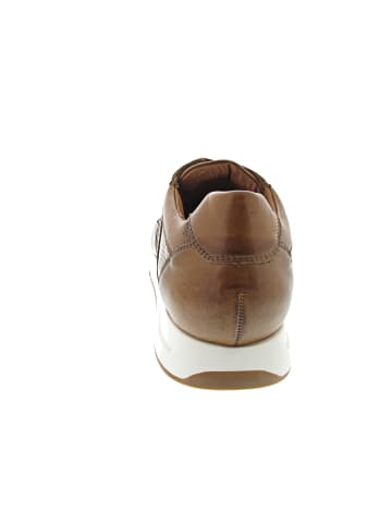LLOYD Adlay Sneaker low Braun
