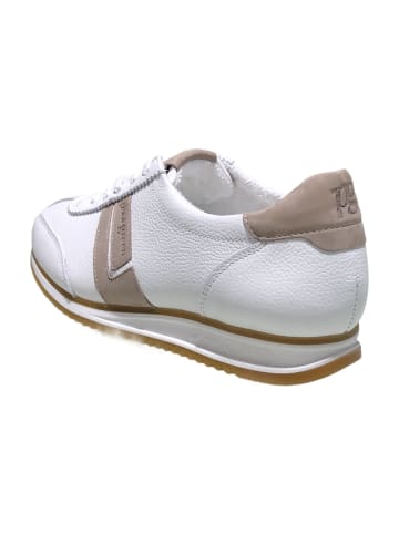 Paul Green Sportliche Schnürschuhe in Weiß
