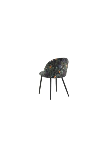 ebuy24 Esszimmerstuhl Velvet Multicolored 2er Set