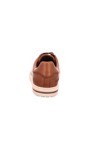 Birkenstock Schnürschuhe in brown