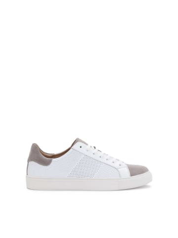 Kazar Sneaker Low SORIN in Beige