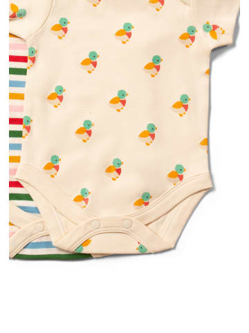 Little Green Radicals Bio-Baby-Strampler-Set 2er-Pack in Bunt