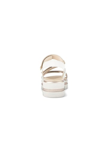 Gabor Riemchen Sandalen für Damen in creme