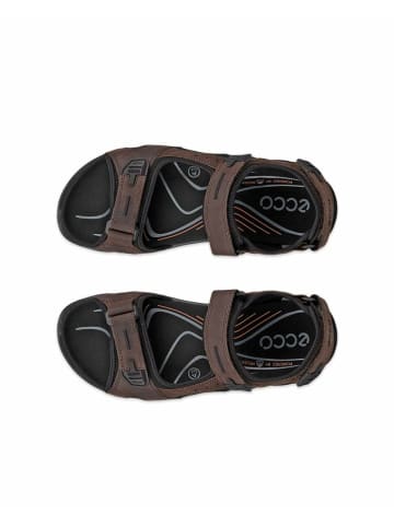 Ecco Outdoor Sandalen für Herren in braun