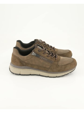bugatti shoes Sneaker low in Braun