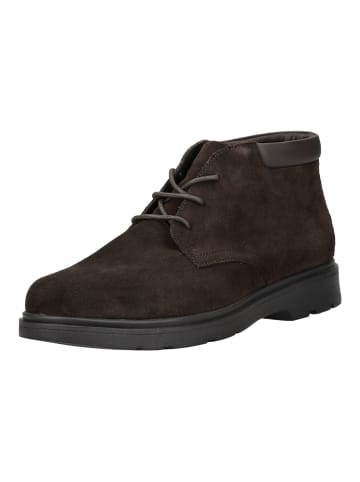 Geox Stiefelette in Dunkelbraun
