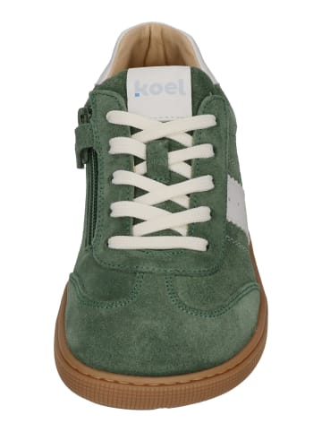 KOEL Sneaker Low DECLAN SUEDE 3.0 in braun