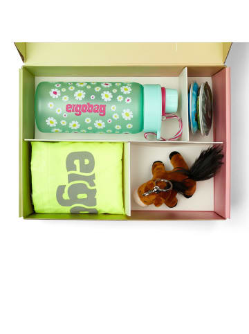 Ergobag Zubehör Geschenkbox 5 tlg in Pferde