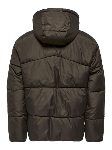 ONLY & SONS Daunenjacke in Hot Fudge