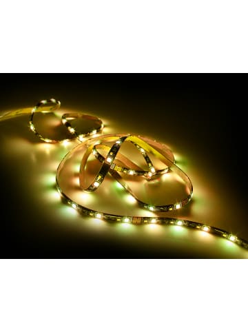 Reality Leuchten LED Stripe RUSH in schwarz