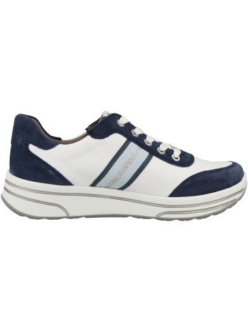 ara Sneaker low 12-32442 in blau